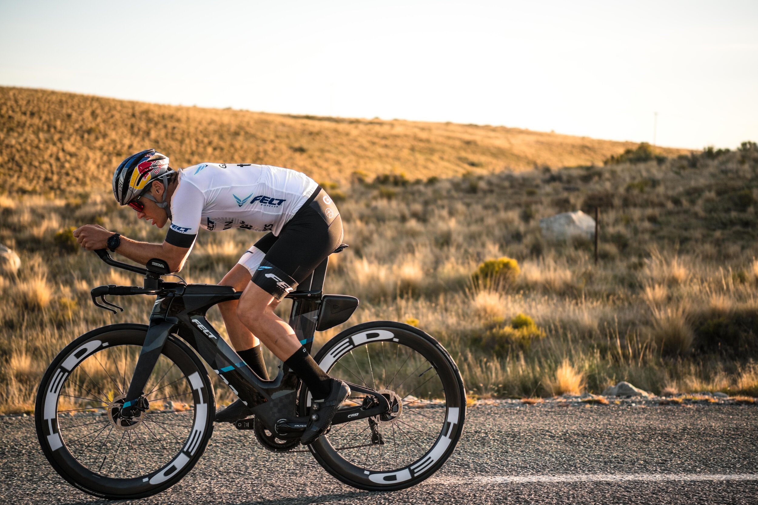 Felt Bicycles Sales Store 32 Felt Bicycles Sales Store -FELT BICYCLES Store 685